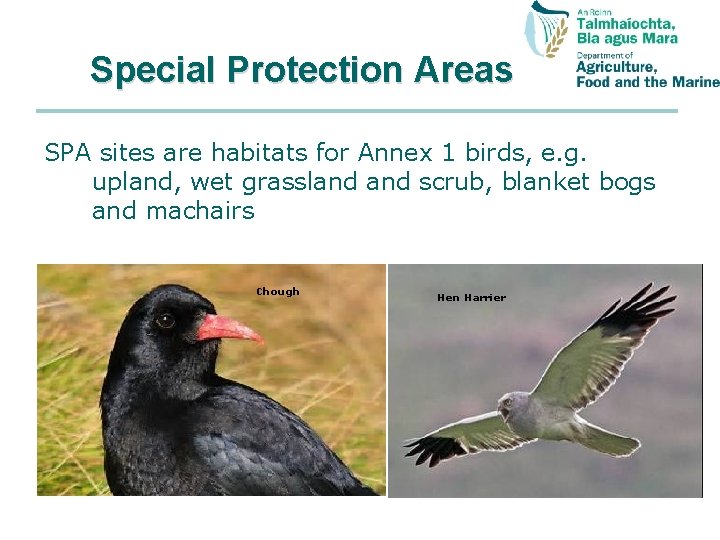 Special Protection Areas SPA sites are habitats for Annex 1 birds, e. g. upland,
