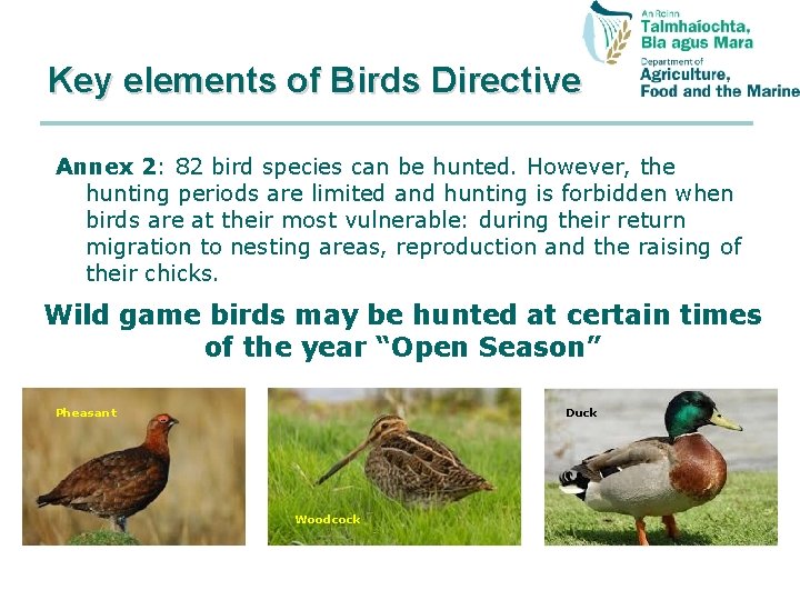 Key elements of Birds Directive Annex 2: 82 bird species can be hunted. However,