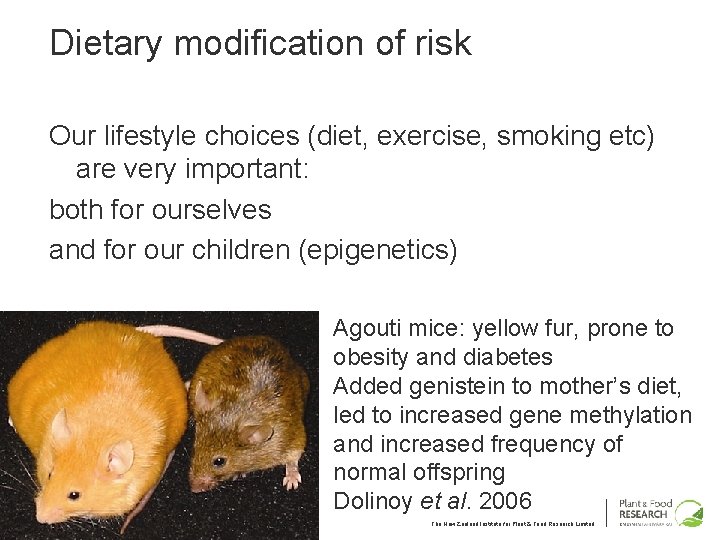Dietary modification of risk Our lifestyle choices (diet, exercise, smoking etc) are very important: