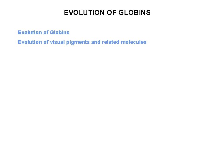 EVOLUTION OF GLOBINS Evolution of Globins Evolution of visual pigments and related molecules 