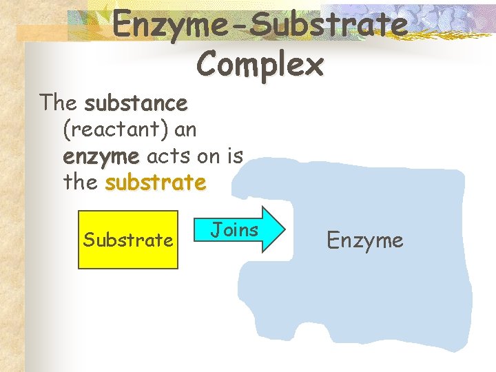 Enzyme-Substrate Complex The substance (reactant) an enzyme acts on is the substrate Substrate Joins