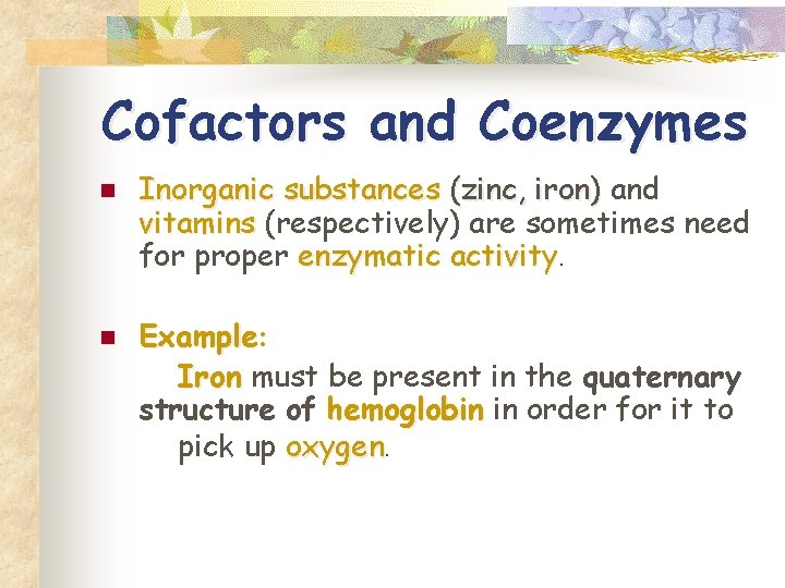 Cofactors and Coenzymes n n Inorganic substances (zinc, iron) and vitamins (respectively) are sometimes