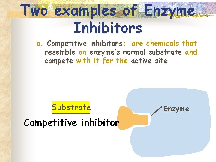 Two examples of Enzyme Inhibitors a. Competitive inhibitors: are chemicals that resemble an enzyme’s