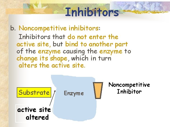 Inhibitors b. Noncompetitive inhibitors: Inhibitors that do not enter the active site, site but