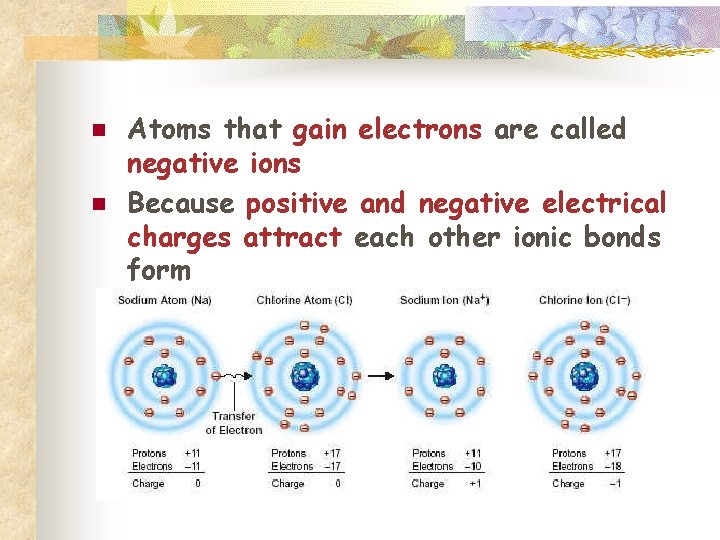 n n Atoms that gain electrons are called negative ions Because positive and negative