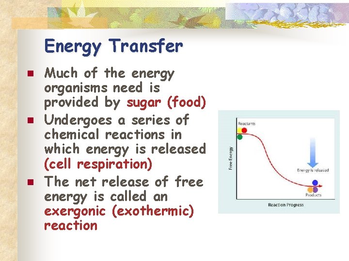 Energy Transfer n n n Much of the energy organisms need is provided by