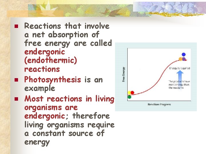 n n n Reactions that involve a net absorption of free energy are called