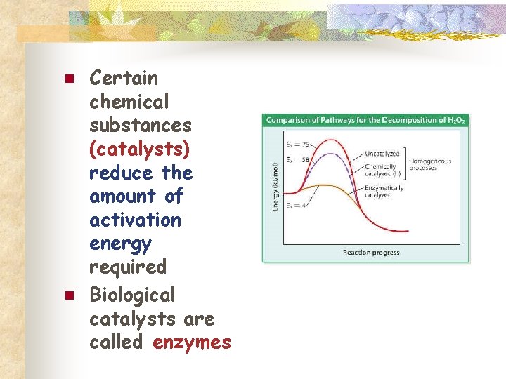 n n Certain chemical substances (catalysts) reduce the amount of activation energy required Biological