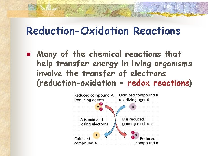 Reduction-Oxidation Reactions n Many of the chemical reactions that help transfer energy in living