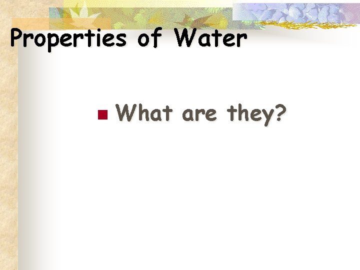 Properties of Water n What are they? 