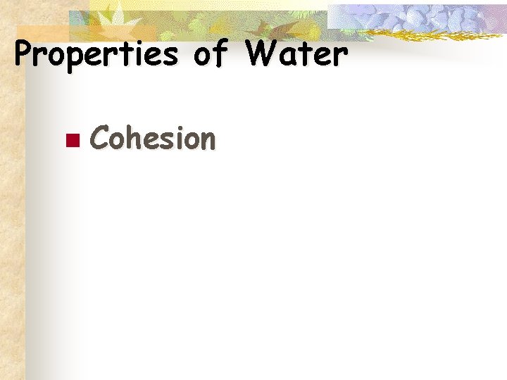 Properties of Water n Cohesion 