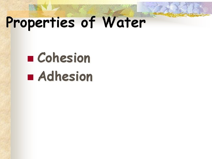 Properties of Water n Cohesion n Adhesion 