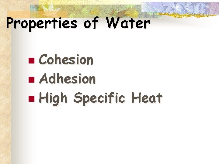 Properties of Water n Cohesion n Adhesion n High Specific Heat 