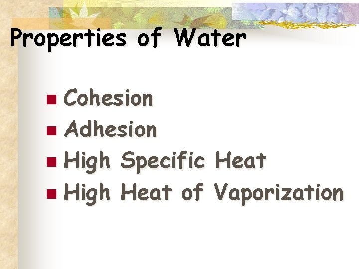 Properties of Water n Cohesion n Adhesion n High Specific Heat n High Heat
