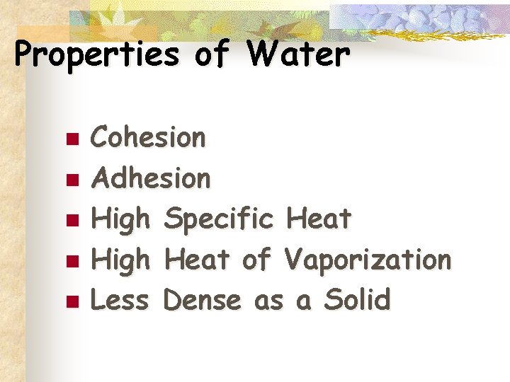Properties of Water n n n Cohesion Adhesion High Specific Heat High Heat of