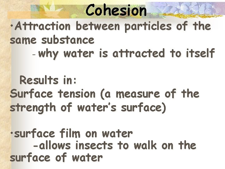 Cohesion • Attraction between particles of the same substance - why water is attracted