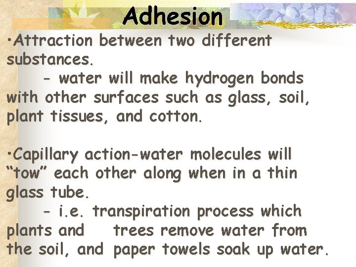 Adhesion • Attraction between two different substances. - water will make hydrogen bonds with