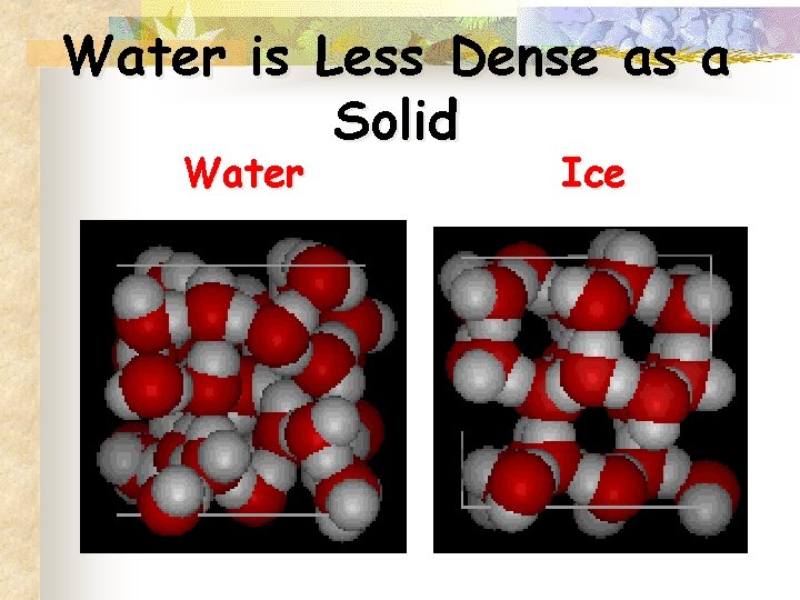 Water is Less Dense as a Solid Water Ice 