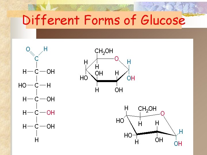 Different Forms of Glucose 
