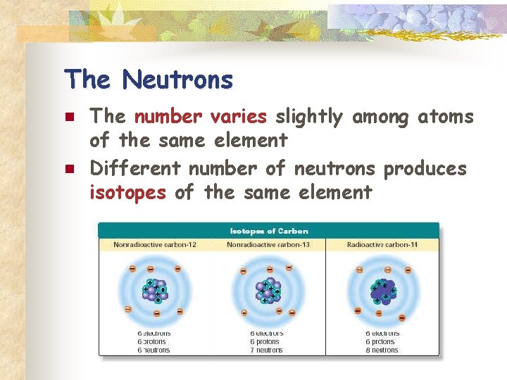 The Neutrons n n The number varies slightly among atoms of the same element