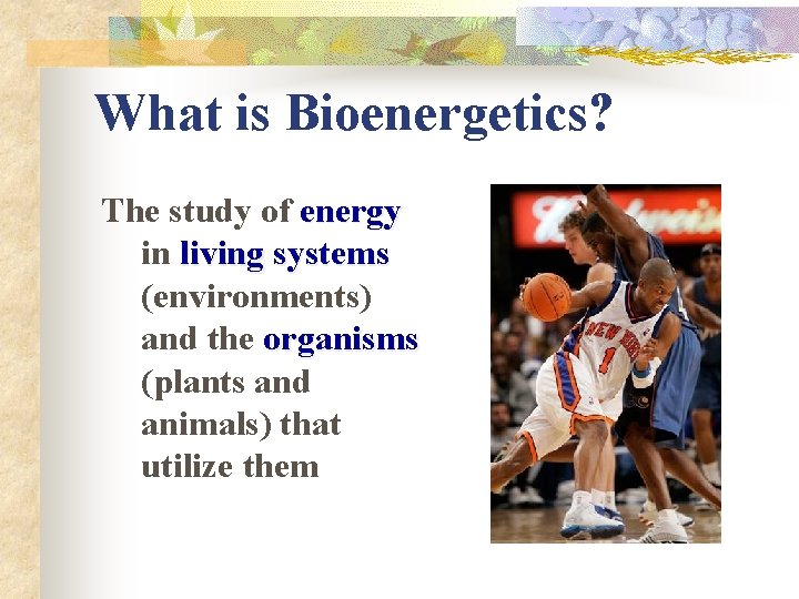 What is Bioenergetics? The study of energy in living systems (environments) and the organisms