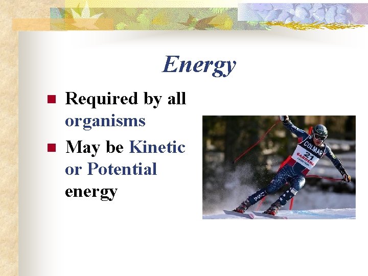 Energy n n Required by all organisms May be Kinetic or Potential energy 