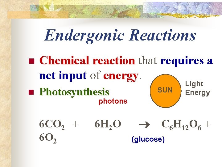 Endergonic Reactions n n Chemical reaction that requires a net input of energy Photosynthesis