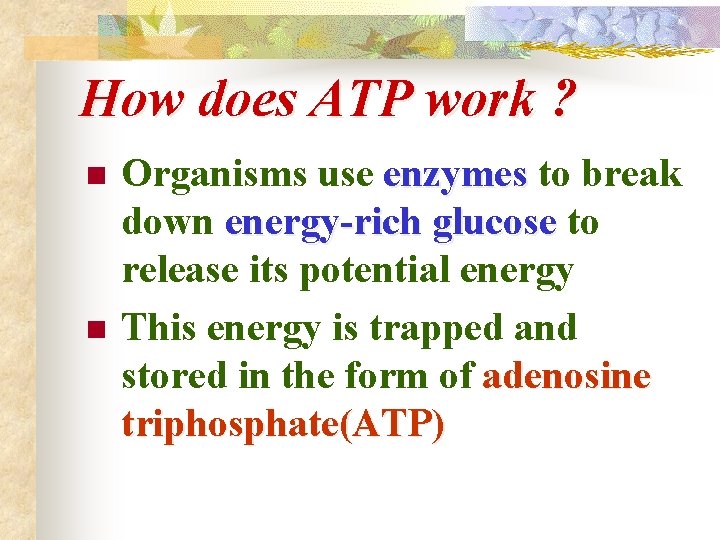 How does ATP work ? n n Organisms use enzymes to break down energy-rich