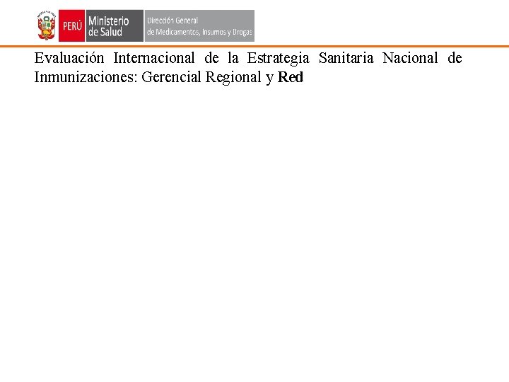 Evaluación Internacional de la Estrategia Sanitaria Nacional de Inmunizaciones: Gerencial Regional y Red 