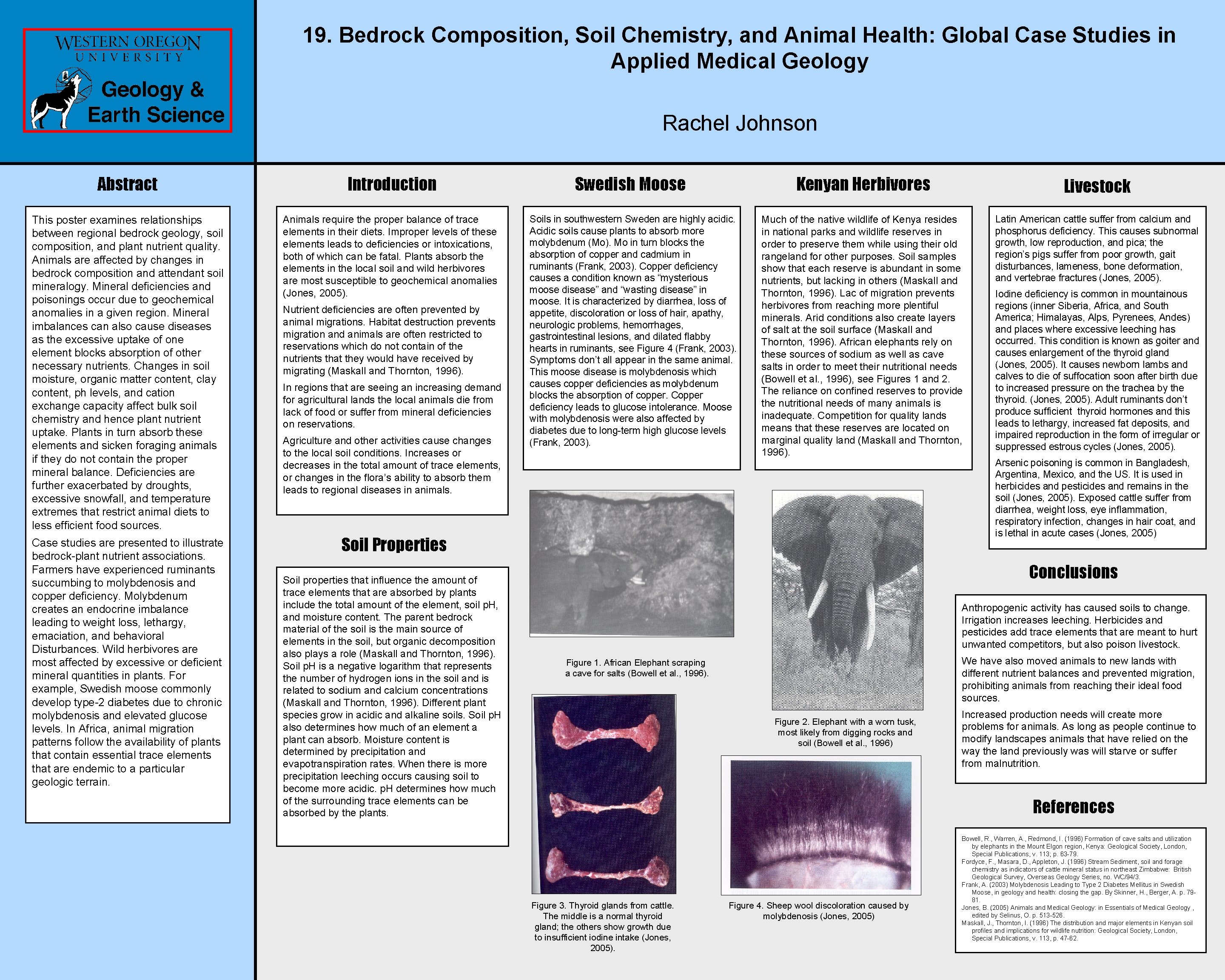 19. Bedrock Composition, Soil Chemistry, and Animal Health: Global Case Studies in Applied Medical