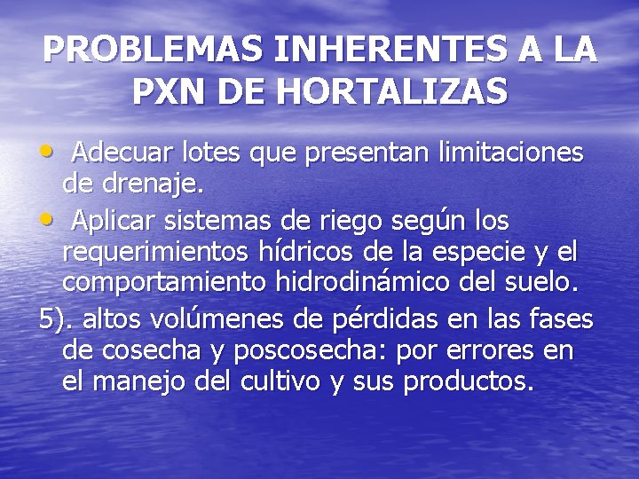 PROBLEMAS INHERENTES A LA PXN DE HORTALIZAS • Adecuar lotes que presentan limitaciones de