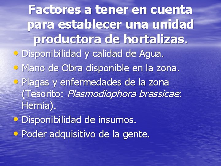 Factores a tener en cuenta para establecer una unidad productora de hortalizas. • Disponibilidad