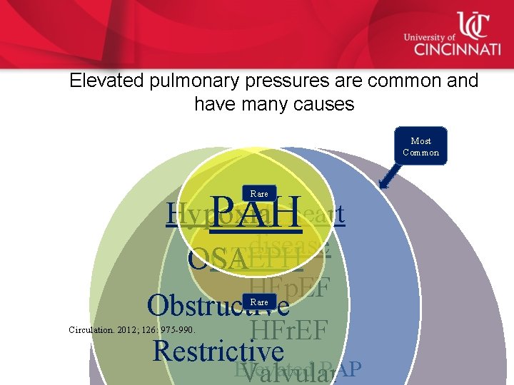 Elevated pulmonary pressures are common and have many causes Most Common Left heart Hypoxia
