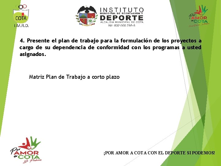 4. Presente el plan de trabajo para la formulación de los proyectos a cargo