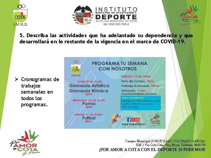 5. Describa las actividades que ha adelantado su dependencia y que desarrollará en lo