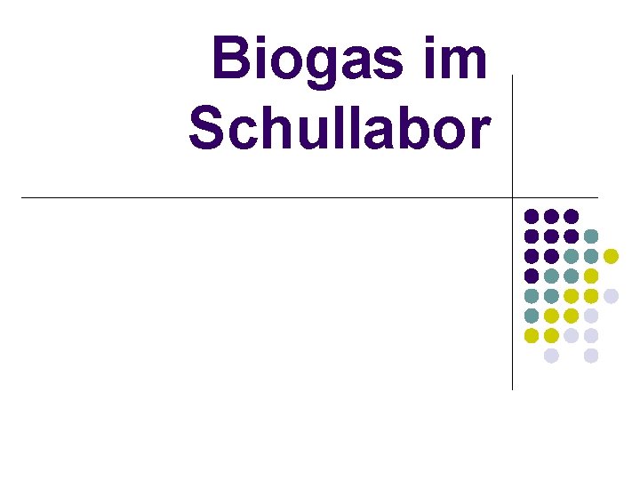 Biogas im Schullabor 