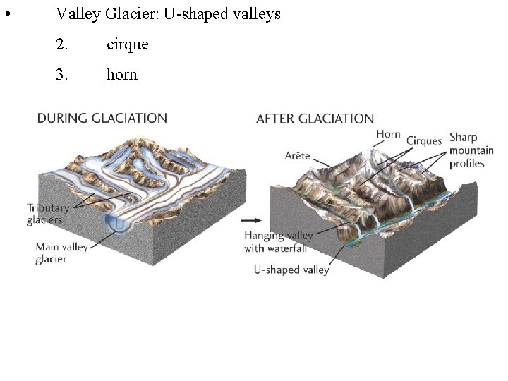  • Valley Glacier: U-shaped valleys 2. cirque 3. horn 