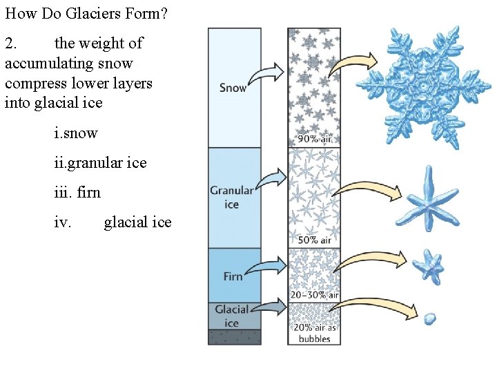How Do Glaciers Form? 2. the weight of accumulating snow compress lower layers into