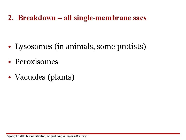 2. Breakdown – all single-membrane sacs • Lysosomes (in animals, some protists) • Peroxisomes