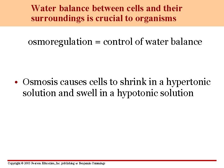Water balance between cells and their surroundings is crucial to organisms osmoregulation = control