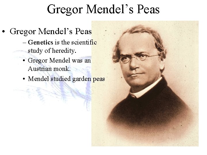 Gregor Mendel’s Peas • Gregor Mendel’s Peas – Genetics is the scientific study of