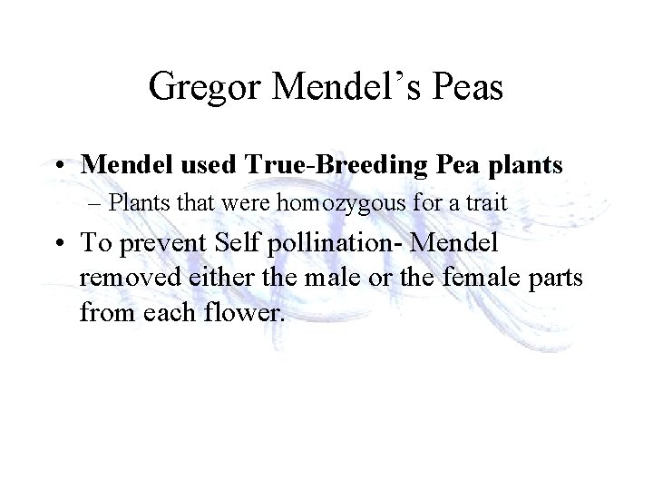 Gregor Mendel’s Peas • Mendel used True-Breeding Pea plants – Plants that were homozygous