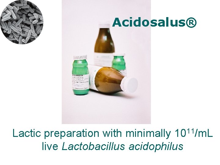 Acidosalus® Lactic preparation with minimally 1011/m. L live Lactobacillus acidophilus 