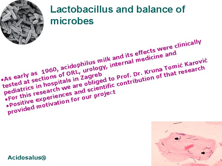 Lactobacillus and balance of microbes ally c i n i l re c e