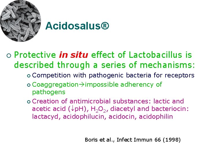 Acidosalus® ¡ Protective in situ effect of Lactobacillus is described through a series of