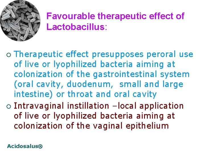 Favourable therapeutic effect of Lactobacillus: Therapeutic effect presupposes peroral use of live or lyophilized