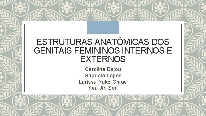 ESTRUTURAS ANATÔMICAS DOS GENITAIS FEMININOS INTERNOS E EXTERNOS Carolina Bajou Gabriela Lopes Larissa Yuko