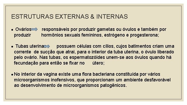 ESTRUTURAS EXTERNAS & INTERNAS l l Ovários produzir responsáveis por produzir gametas ou óvulos