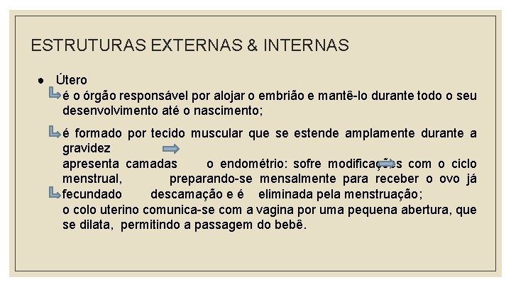 ESTRUTURAS EXTERNAS & INTERNAS ● Útero é o órgão responsável por alojar o embrião