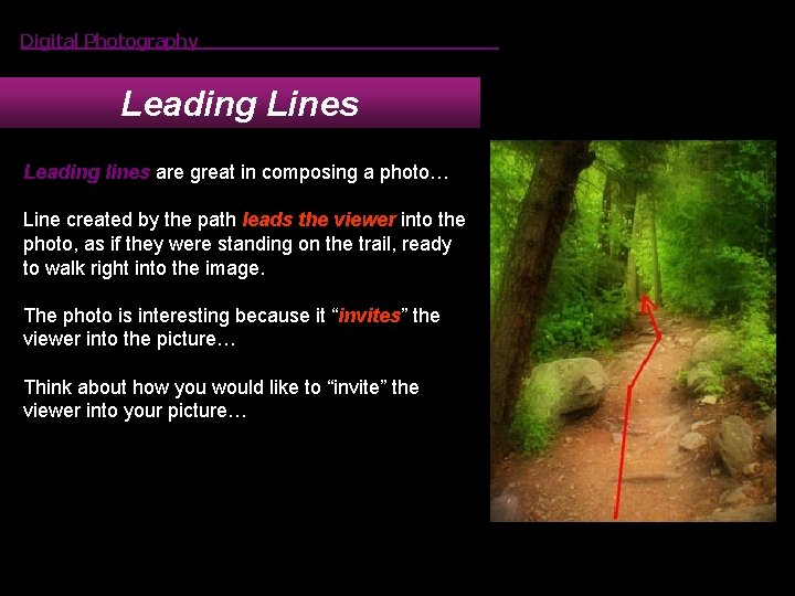 Digital Photography Leading Lines Leading lines are great in composing a photo… Line created